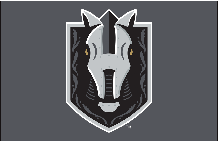 Henderson Silver Knights 2020-Pres Primary Dark Logo iron on heat transfer